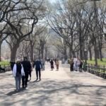 The Mall, Central Park, New York