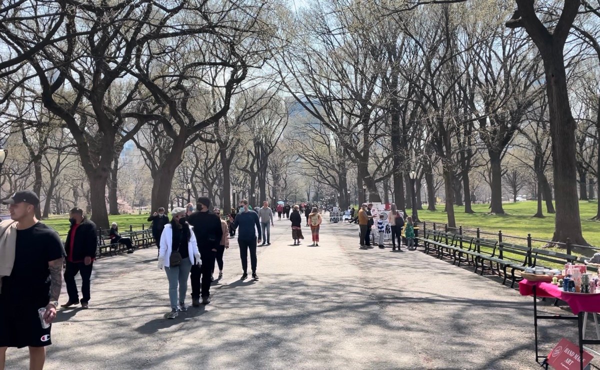 Finding Stillness: 3 Quiet Benches in Central Park