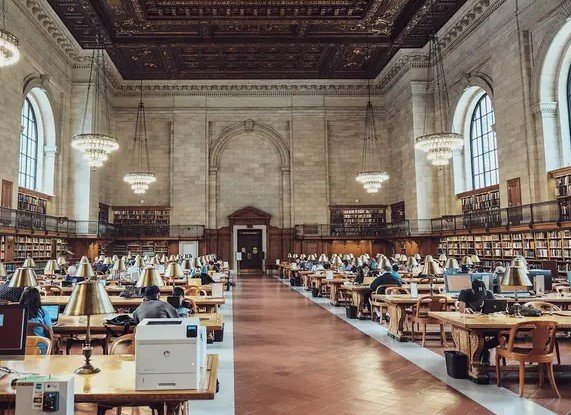 Reading the City: Where to Read Alone in NYC