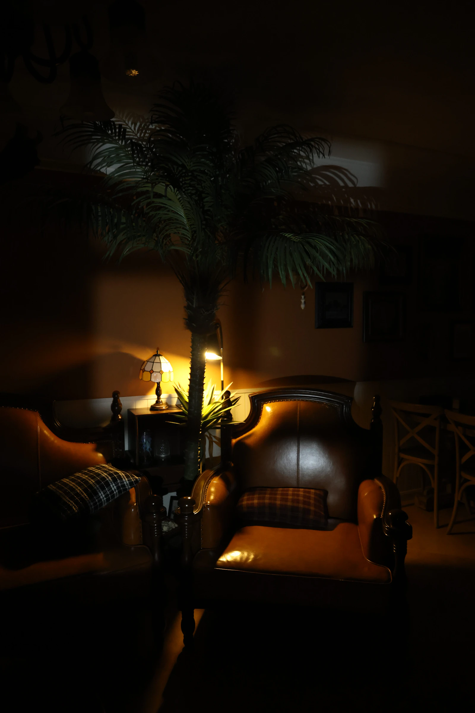 A dim lounge corner with leather armchairs, a potted palm and warm table lamps