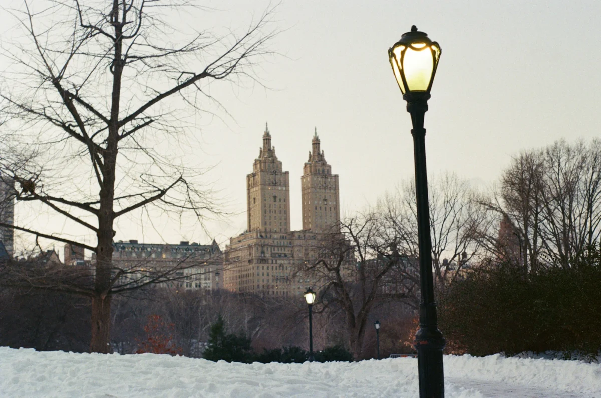 A lamppost and bare trees in a snow-covered Central Park, with twin-towered apartment buildings in the distance